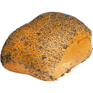 Skagensstykke